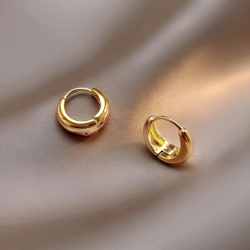 ✨ 2Pcs Elegant French Hoop Earrings – Stainless Steel Hypoallergenic Retro Design | Christmas Gift for Women