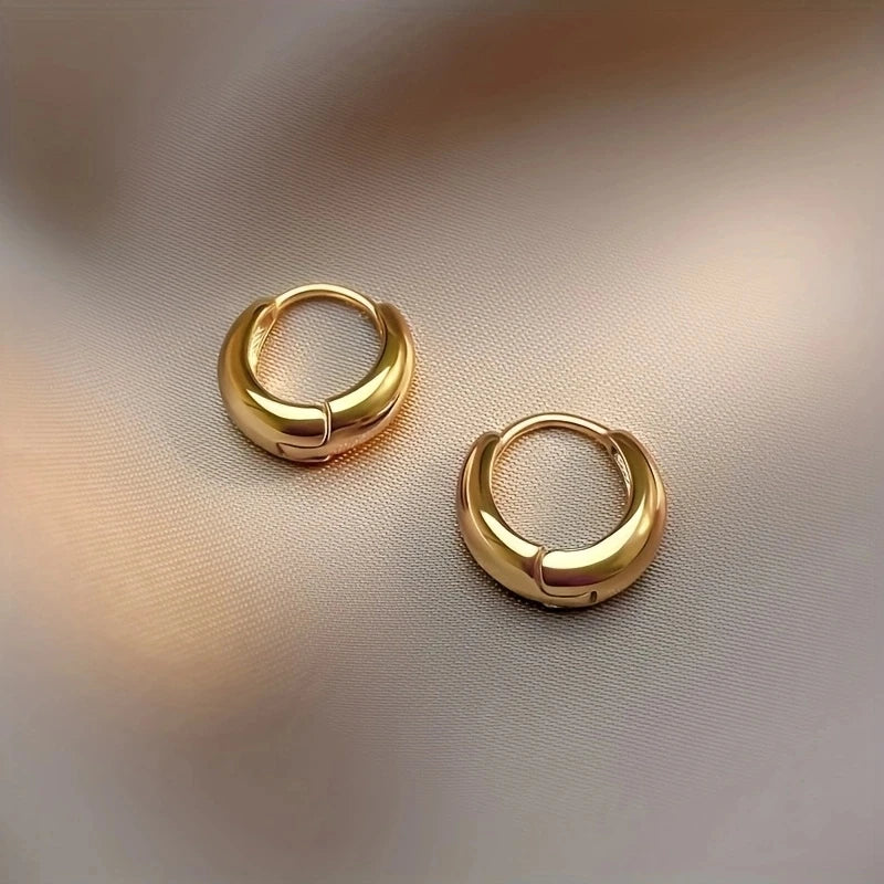 ✨ 2Pcs Elegant French Hoop Earrings – Stainless Steel Hypoallergenic Retro Design | Christmas Gift for Women
