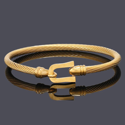 Luxury Rope Stainless Steel Bracelet for Men & Women – 18K Gold Plated Bangle | Unisex Jewelry Valentine’s Day Gift